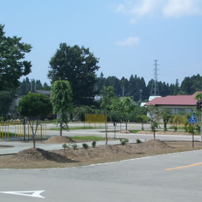 新庄自動車学校のおすすめ